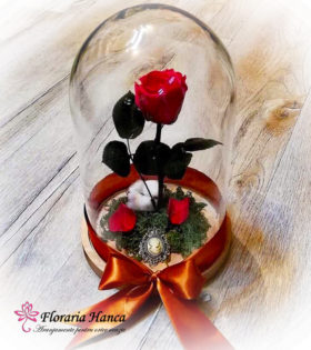 Trandafir criogenat rosu in cupola de sticla, model unicat si nemuritor. Trandafir criogenat cu o durata de viata de 25 ani pastrat in conditii optime